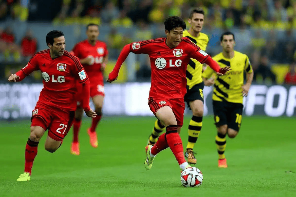 欧博官网娱乐-勒沃库森在哪个城市